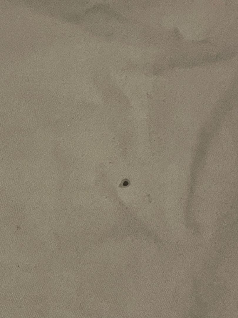 【特別値引（今だけ）】SABBATICAL モーニンググローリーTC