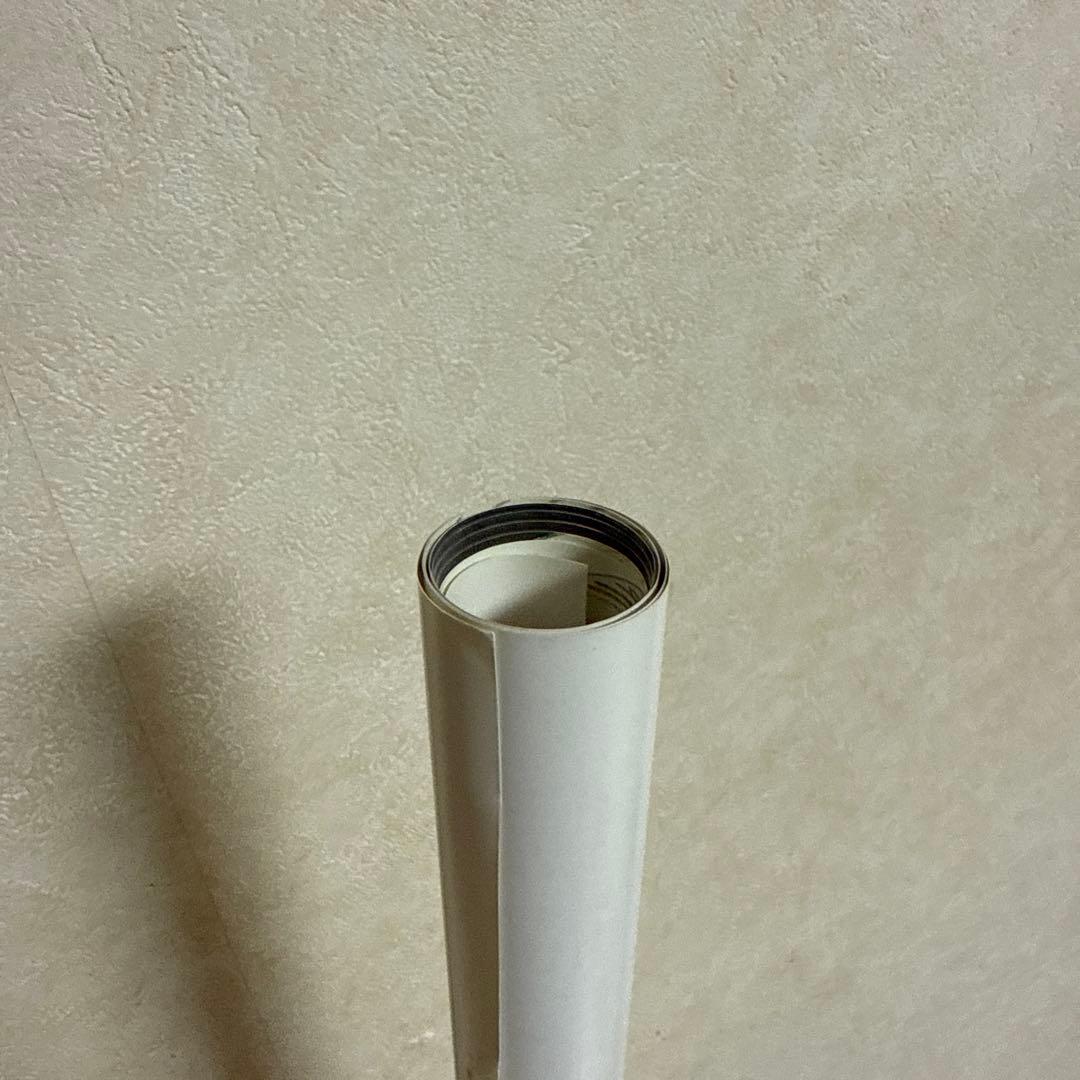 非売品! ぷちえゔぁ エヴァンゲリオン DS ゲーム ポスター