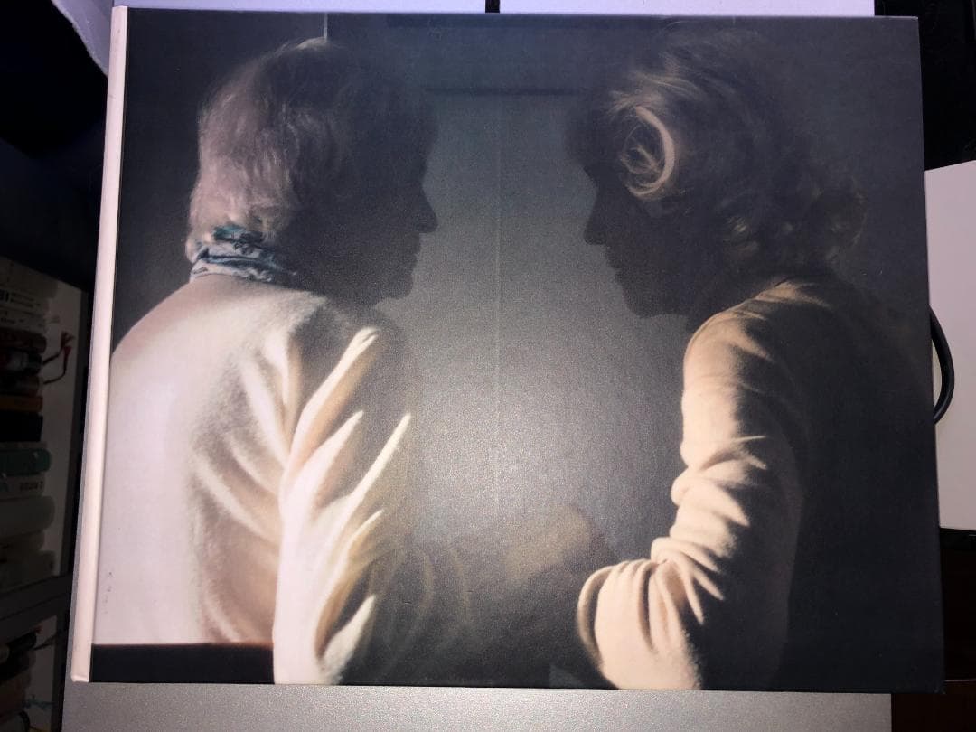 アート・デザイン・音楽 Martina Hoogland Ivanow: Far Too Close