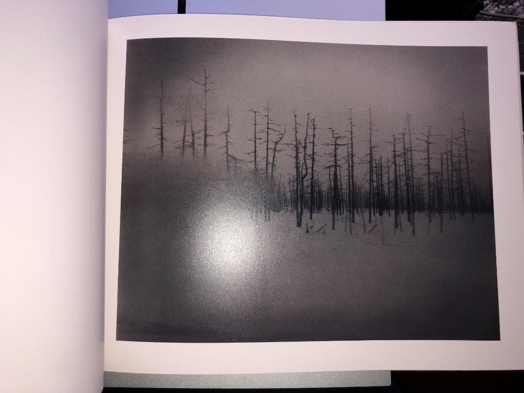 アート・デザイン・音楽 Martina Hoogland Ivanow: Far Too Close