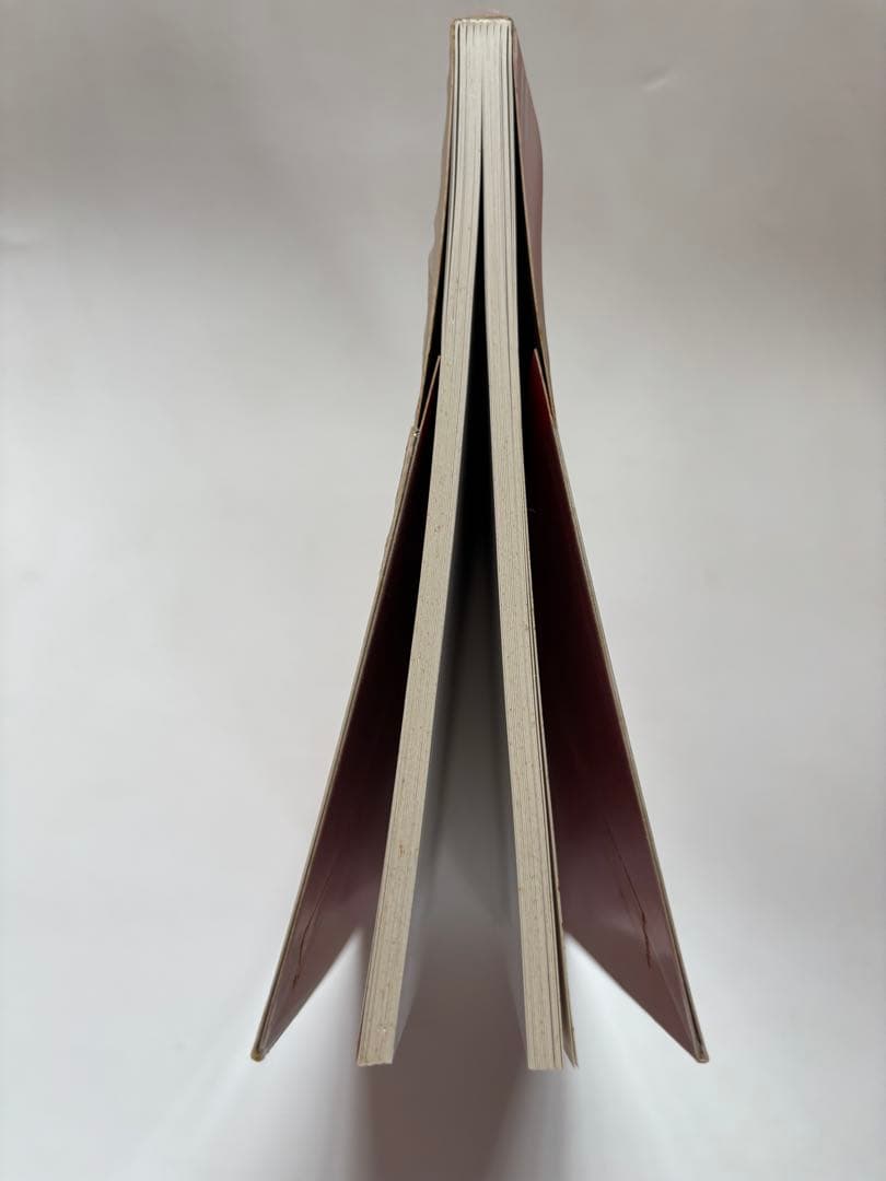 THE BIKERIDERS ダニー・ライオン