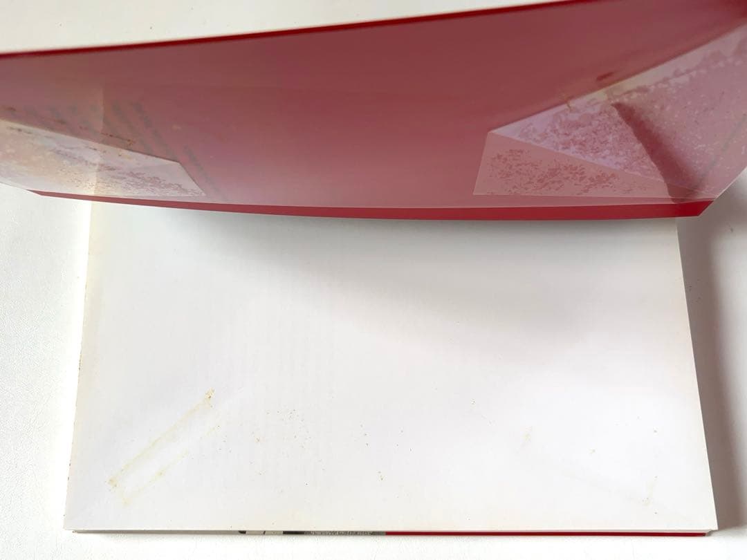 THE BIKERIDERS ダニー・ライオン