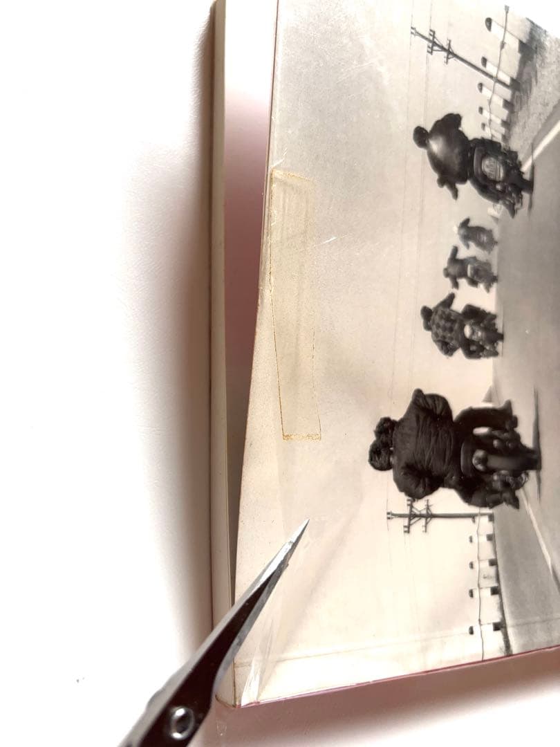 THE BIKERIDERS ダニー・ライオン