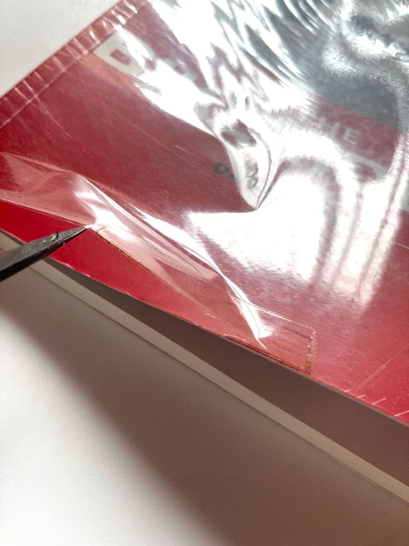 THE BIKERIDERS ダニー・ライオン