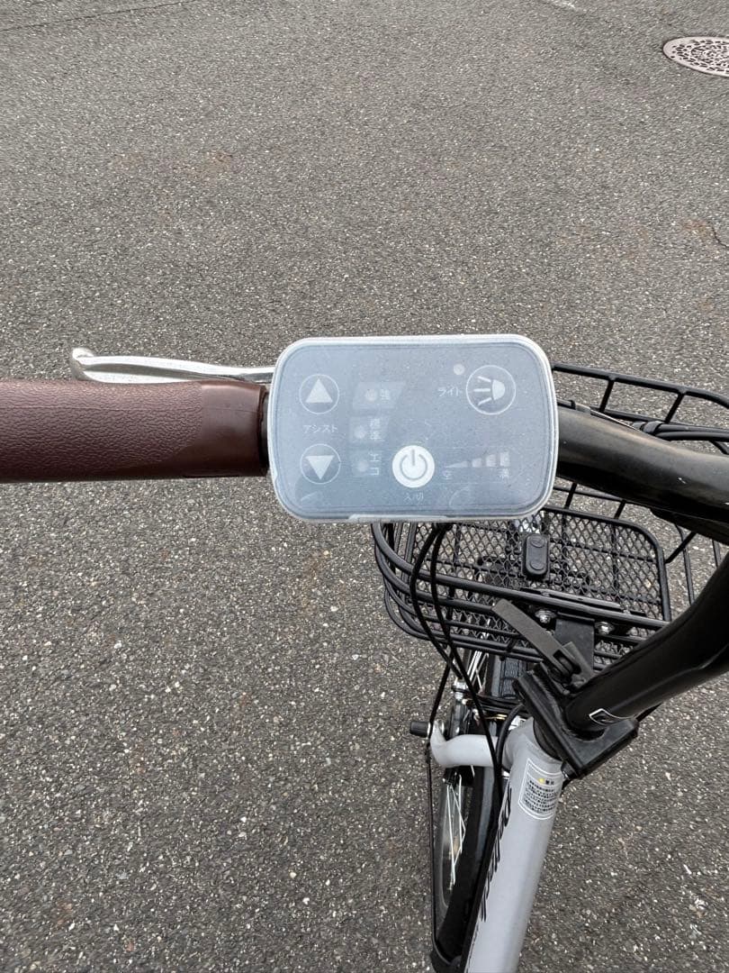 PELTECH(ペルテック) 自転車 20インチ折り畳み外装6段変速