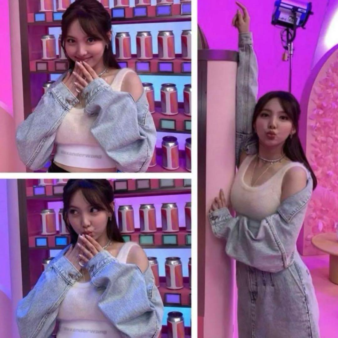 alexanderwang モヘアブラトップ ロゴ