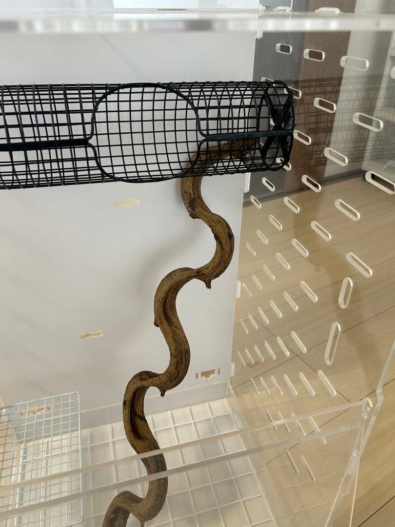 GEX アクリル ケージ ルーム 390 High フクロモモンガ