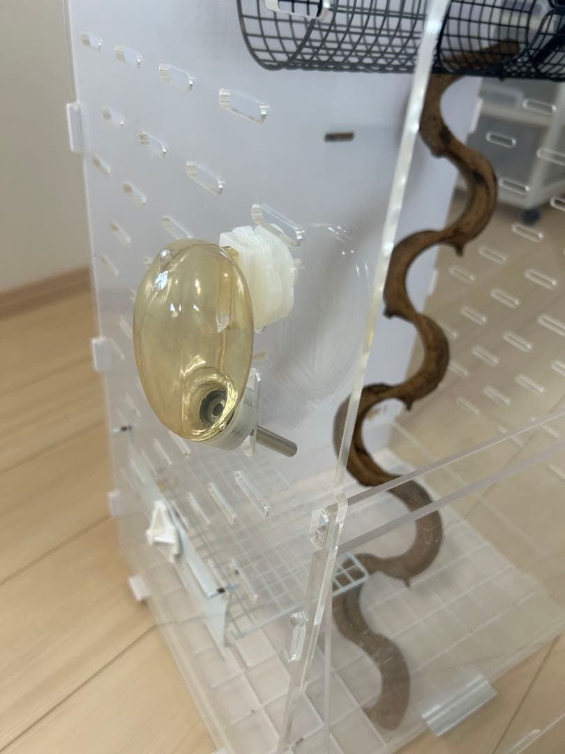 GEX アクリル ケージ ルーム 390 High フクロモモンガ