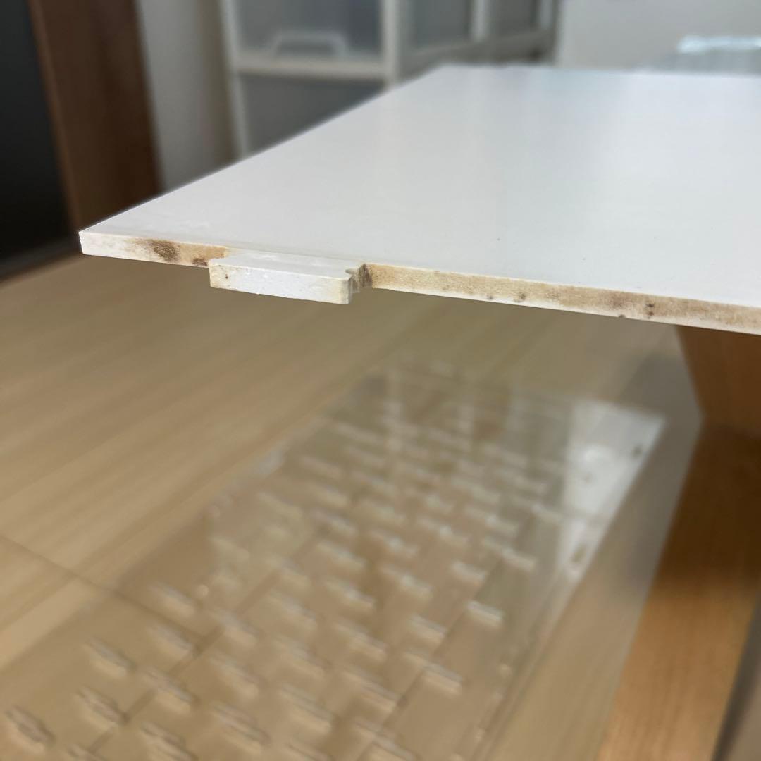 GEX アクリル ケージ ルーム 390 High フクロモモンガ