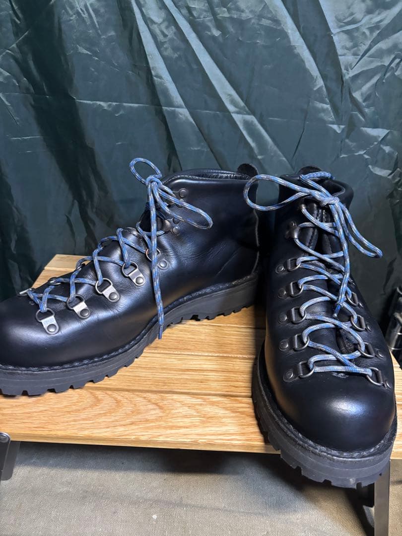 Danner ダナー　マウンテンライトブラック　#31530 およそ28cm