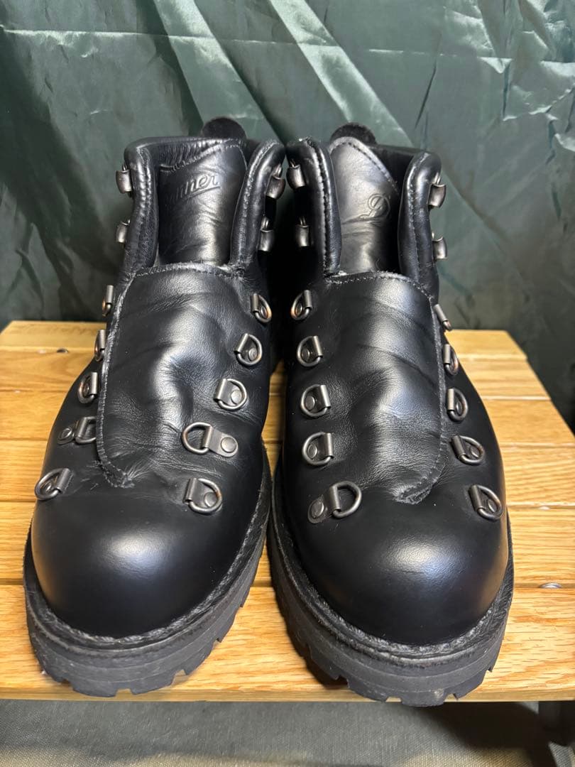 Danner ダナー　マウンテンライトブラック　#31530 およそ28cm