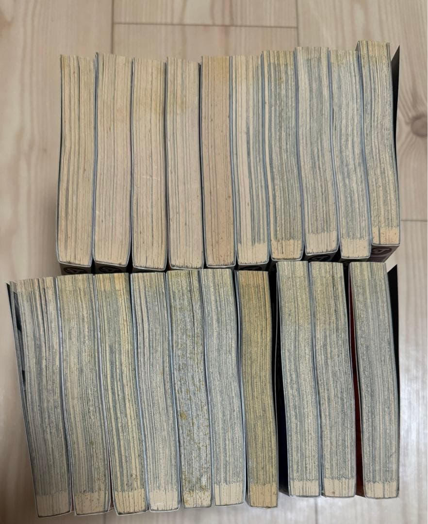 Black Cat 英語版　漫画　English Manga