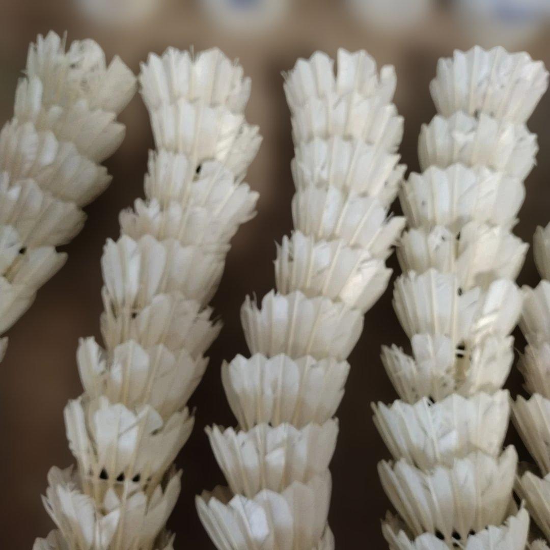 送料無料　ヨネックス中古シャトル　120球　エアロセンサー500　３番　4番