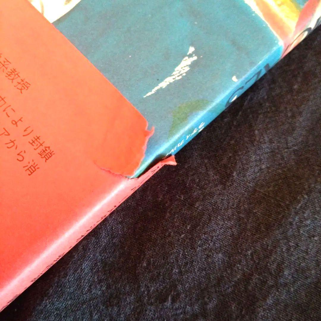 大幅値下）スーパースタジオ＆ラディカルス japan interior desi