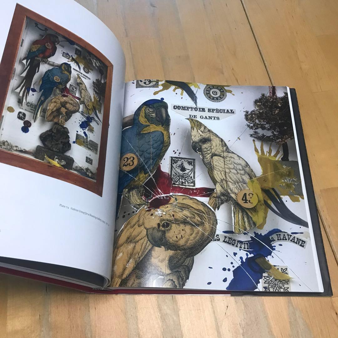 洋書　ジョセフ・コーネル　Navigating the Imagination