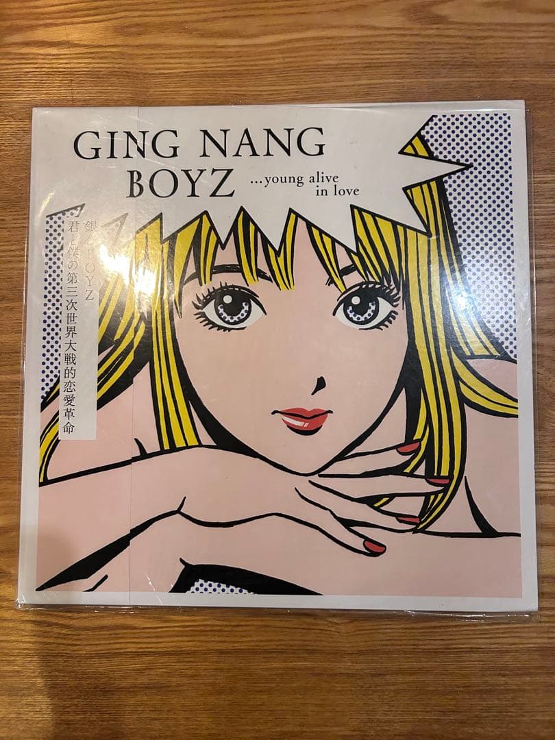 ２組セット銀杏BOYZLP中古レコードDOOR 君と僕の第三次世界大戦的恋愛革命