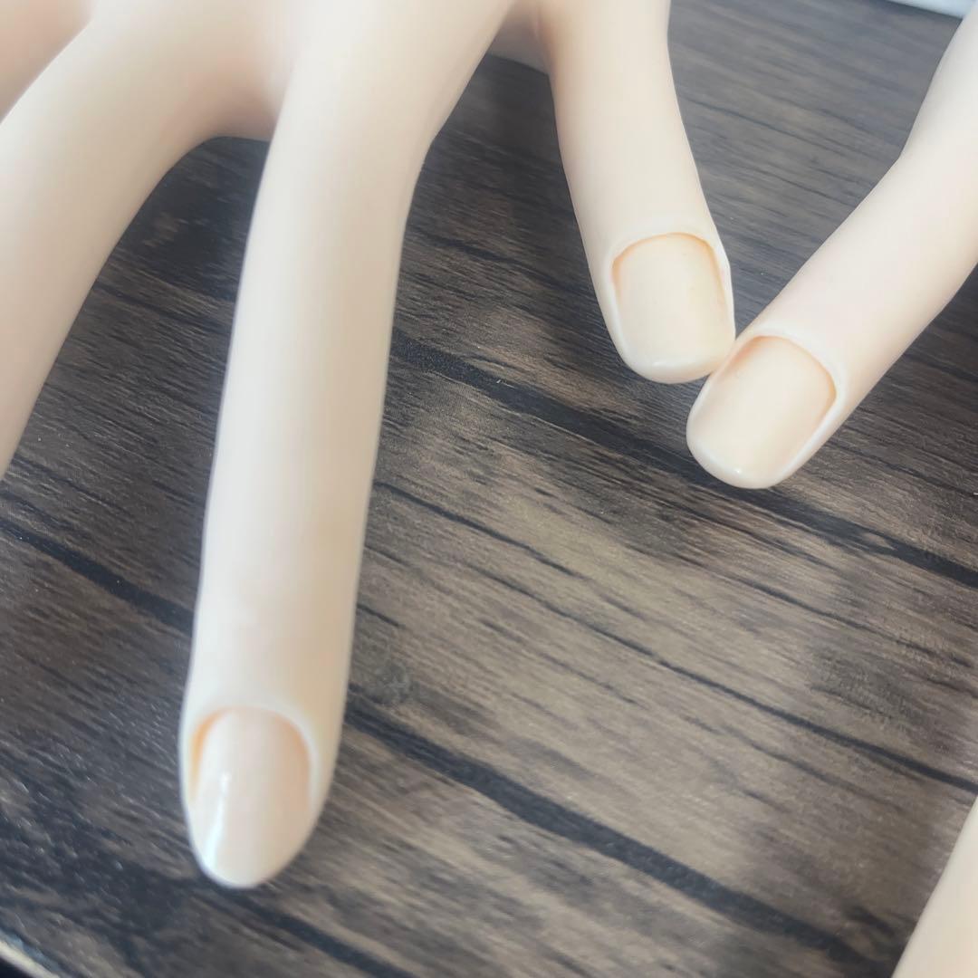 ネイリスト技能検定試験用JNEC認定モデルハンド 美品 箱付き