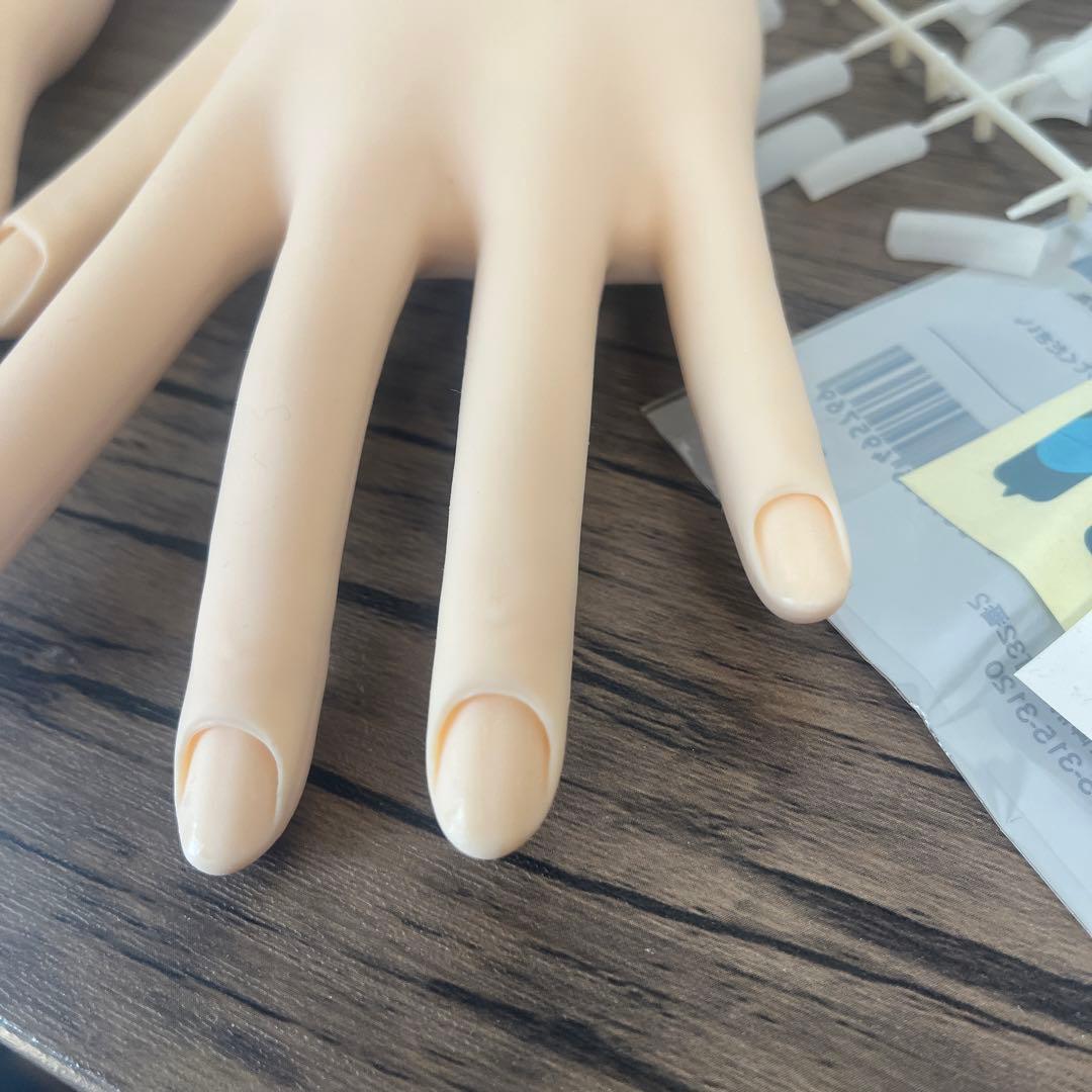 ネイリスト技能検定試験用JNEC認定モデルハンド 美品 箱付き