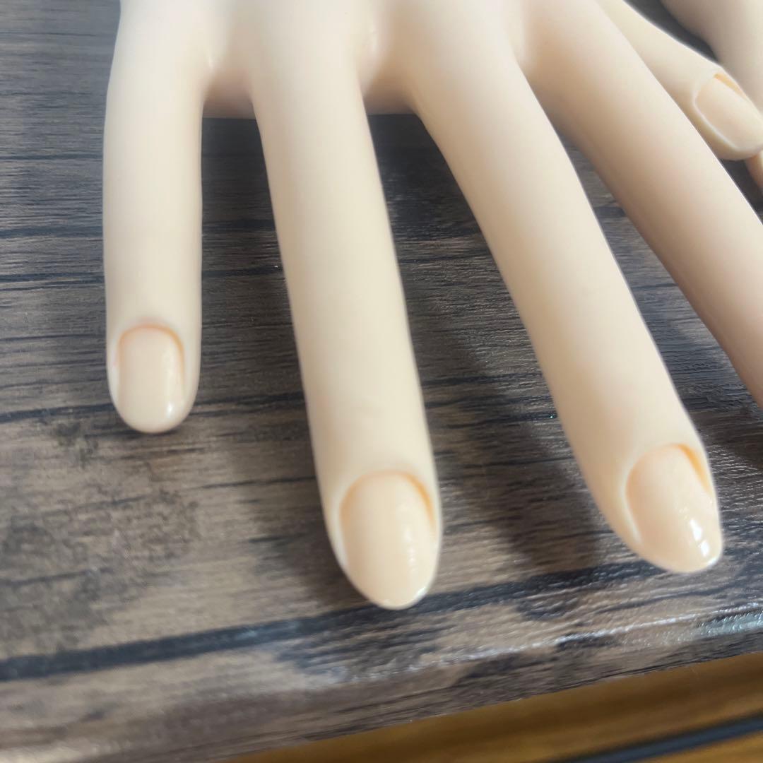 ネイリスト技能検定試験用JNEC認定モデルハンド 美品 箱付き