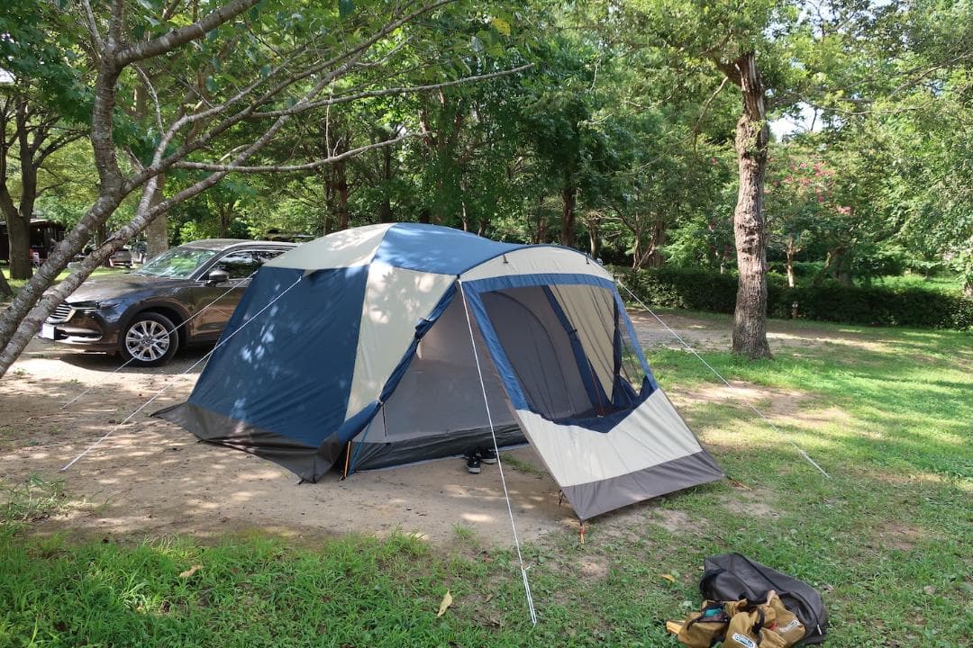 【Ogawaテント】 スクート DX6 (純正マルチシート付）