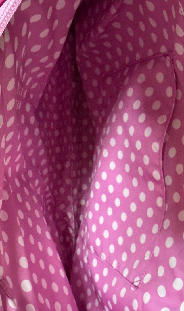 新品未使用♡ディズニーパルパルーザ　ミニーファンダーランド　ミニートートバッグ