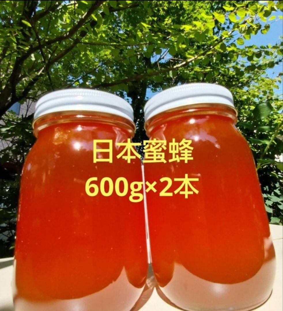 日本蜜蜂 生蜂蜜 ミツバチ 純粋 ニホンみつばち 非加熱 #6 宮城県産