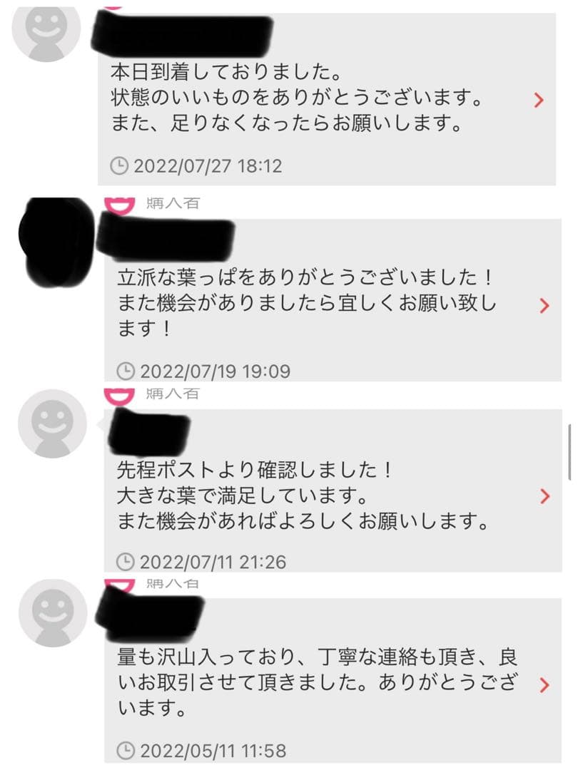 沖縄県やんばる産マジックリーフ 1kg UV殺菌灯照射済み③