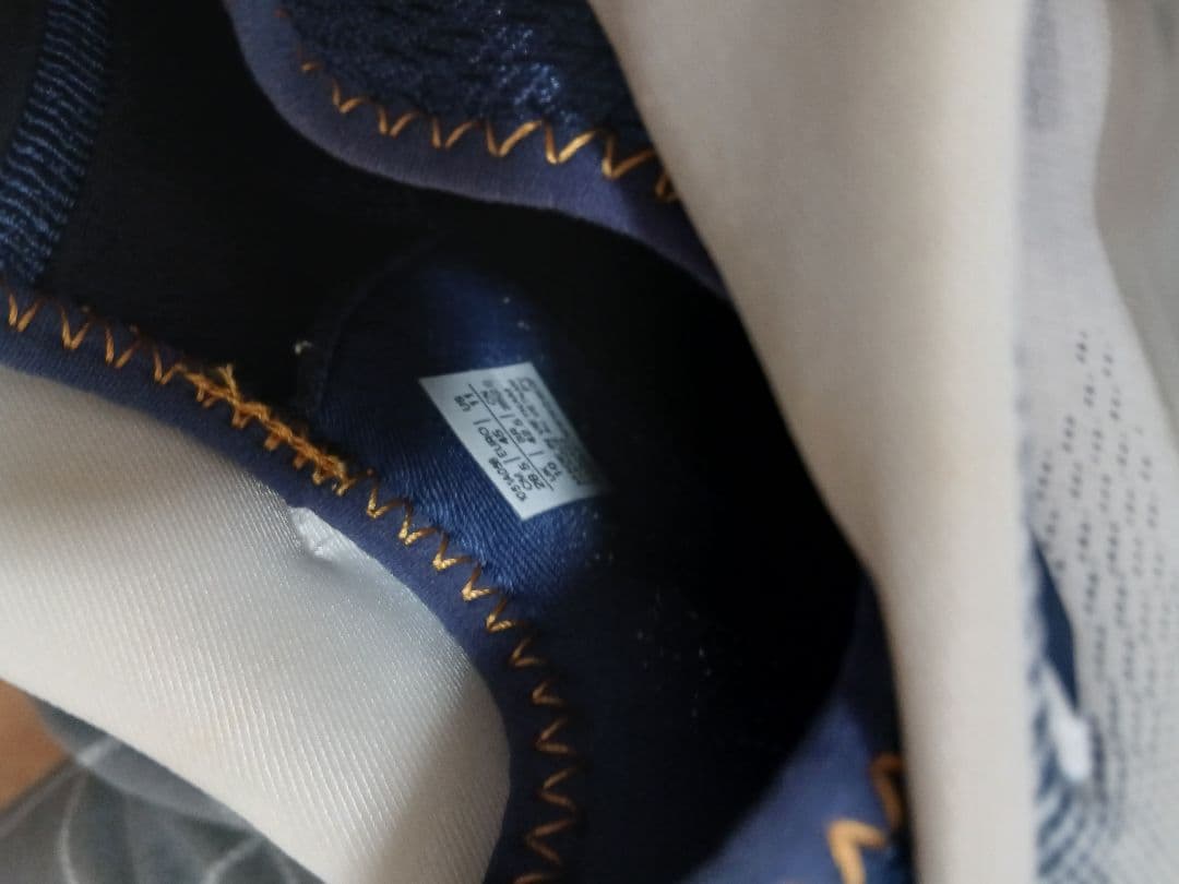 メタライズ　アシックス　バレーシューズ　全日本西田選手着用モデル　28.5センチ