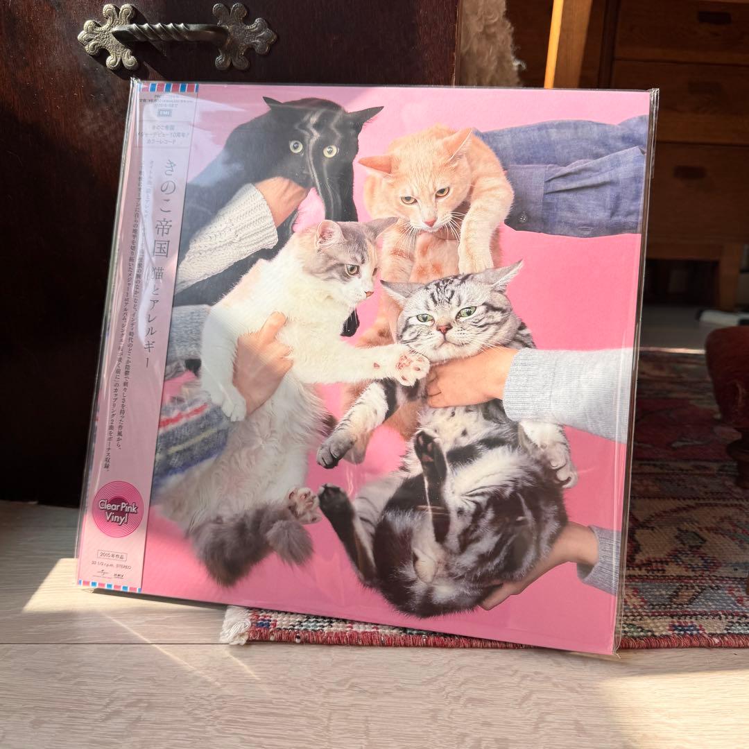 未開封・新品 きのこ帝国 猫とアレルギー クリアピンク・ヴァイナル 限定 LP