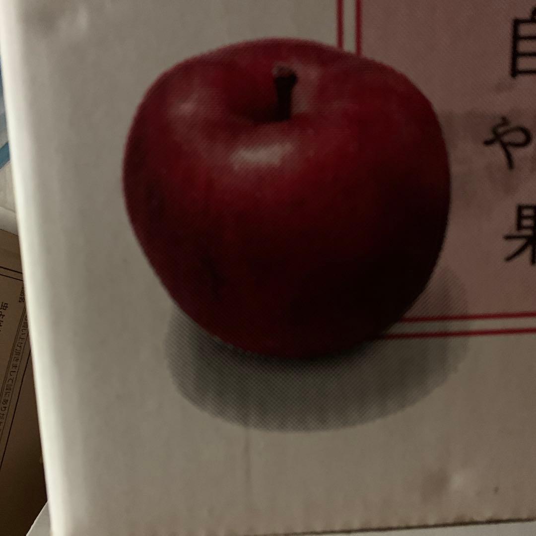 レトロタラ様用