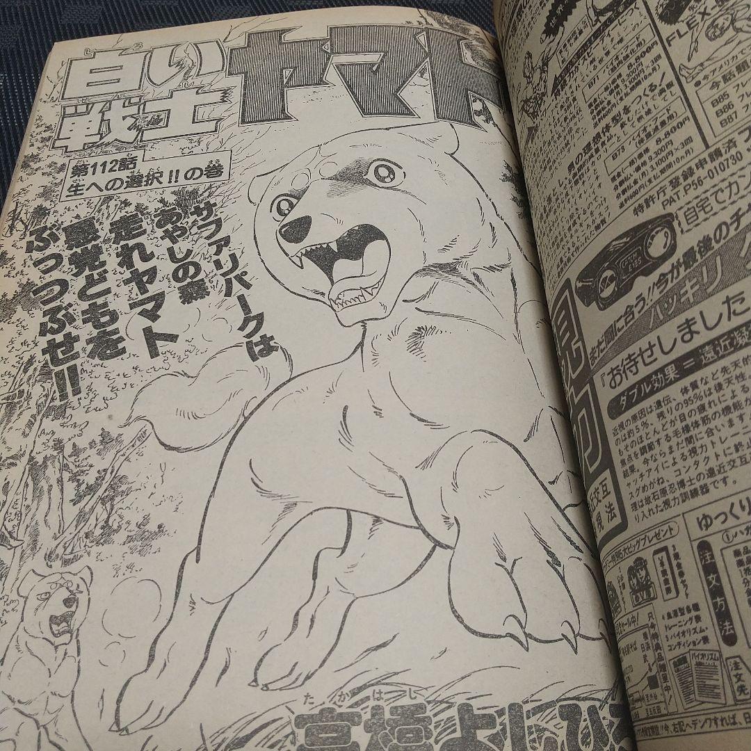 月刊少年ジャンプ 1982年5月号※イレブン 新連載 七三太朗 高橋広
