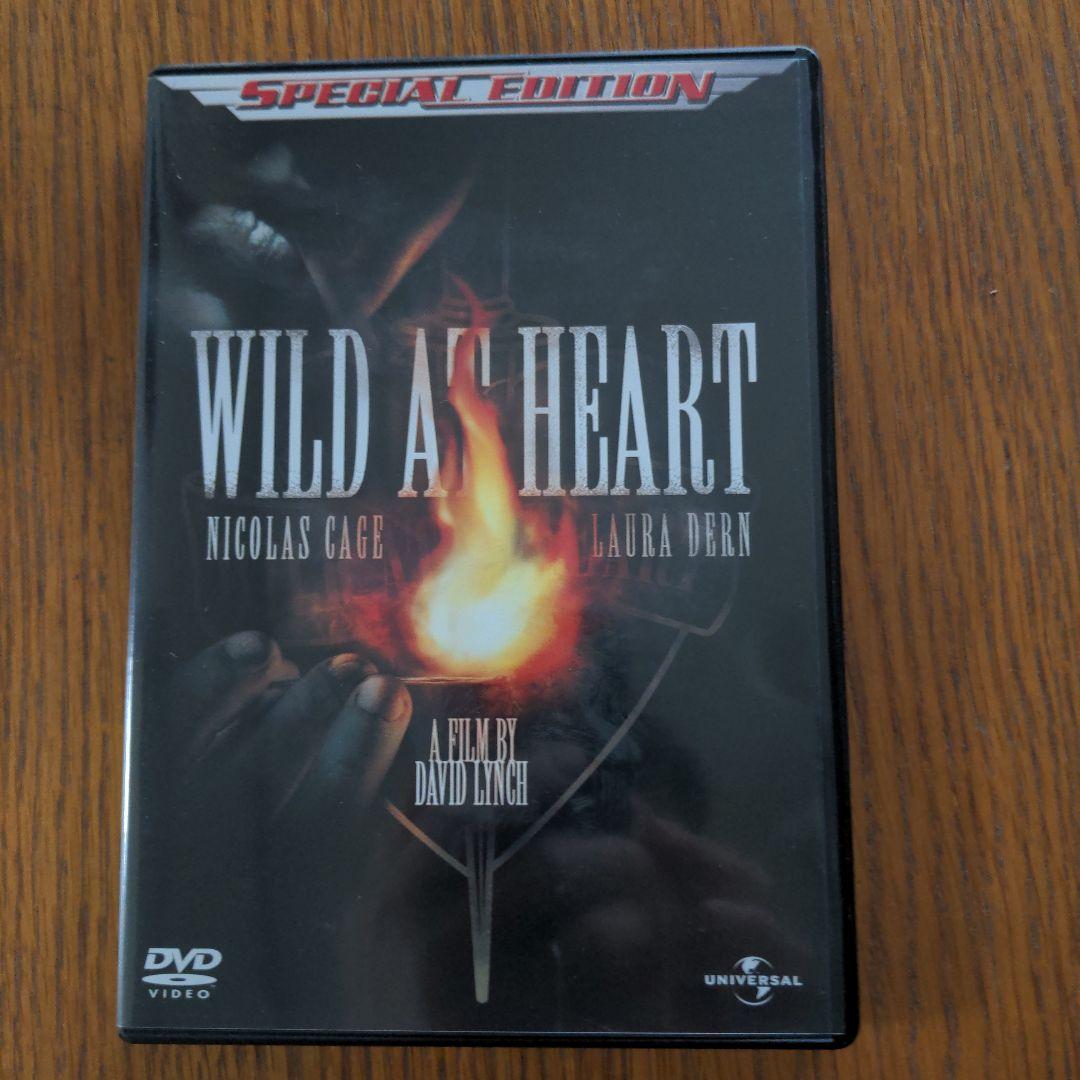 デビッド・リンチ　監督作品　DVD9本セット