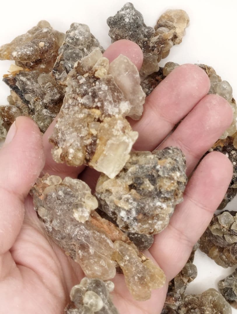 サリーページ☆リクエスト3点