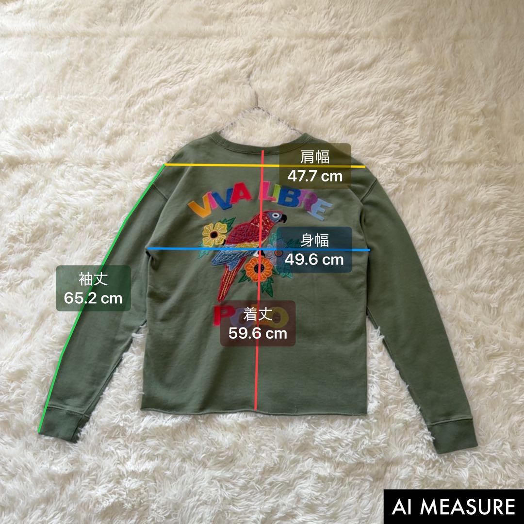 現行タグ✨美品　ラルフローレン　スウェット トレーナー　ポニー刺繍　バックロゴ