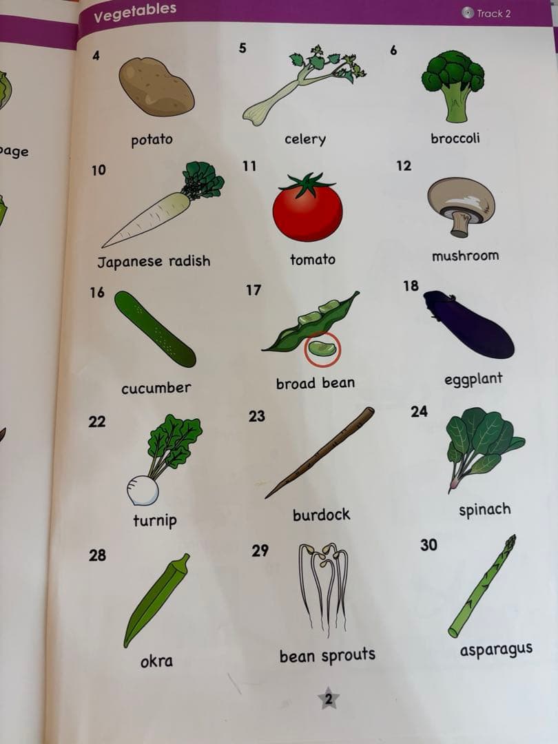 EQWEL ENGLISH 2 イクウェル　English2