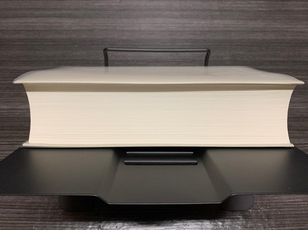 岩波 仏教辞典 第三版