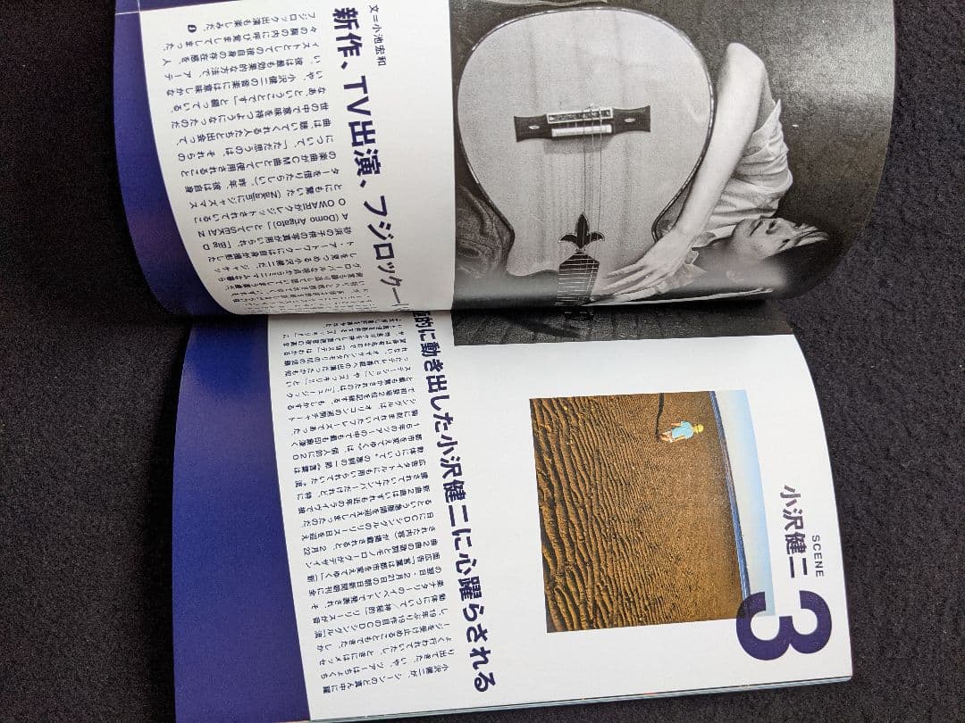 ROCKIN ON JAPAN 2017年5月号 エレファントカシマシ スピッツ