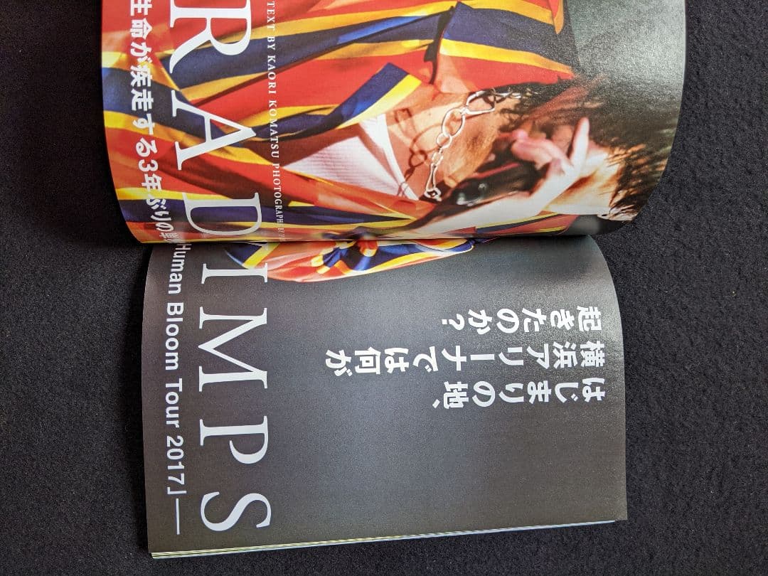 ROCKIN ON JAPAN 2017年5月号 エレファントカシマシ スピッツ