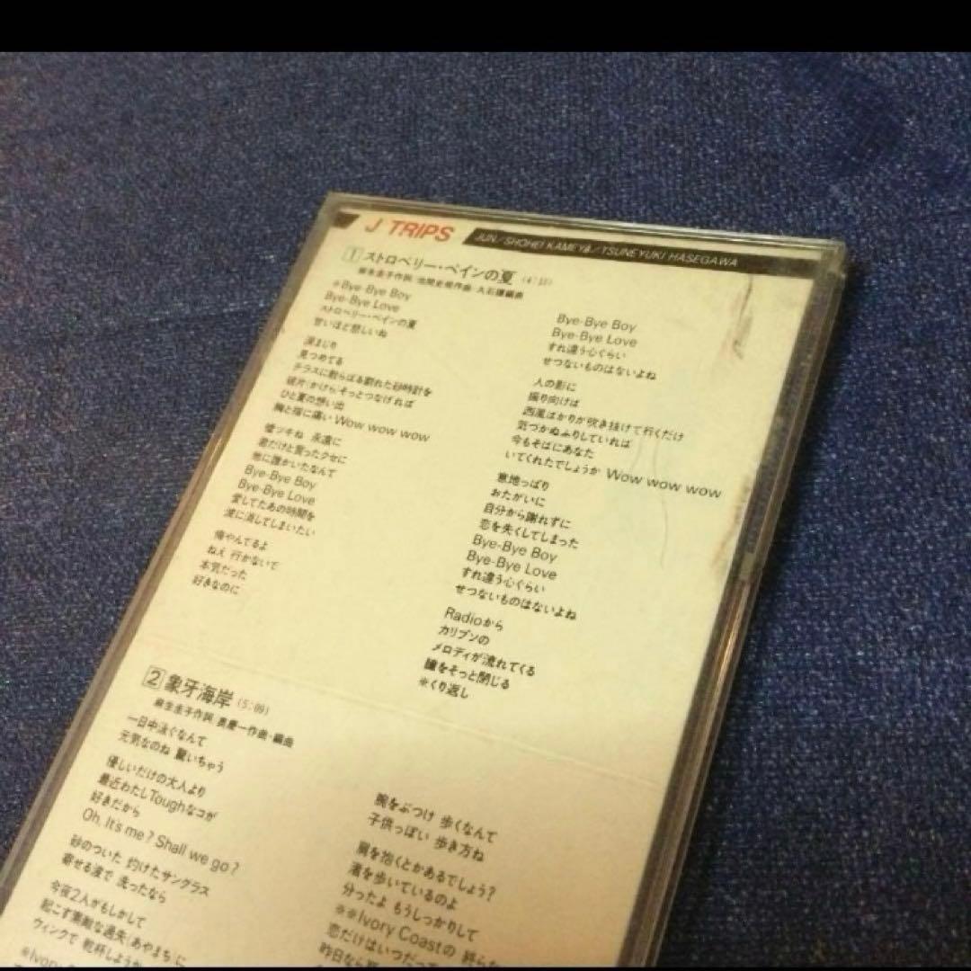 J・トリップス　ストロベリーペインの夏　8センチ8cmシングル　J trips