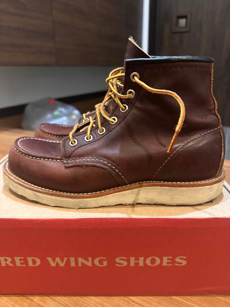 REDWING アイリッシュセッター US7 25cm 箱付き