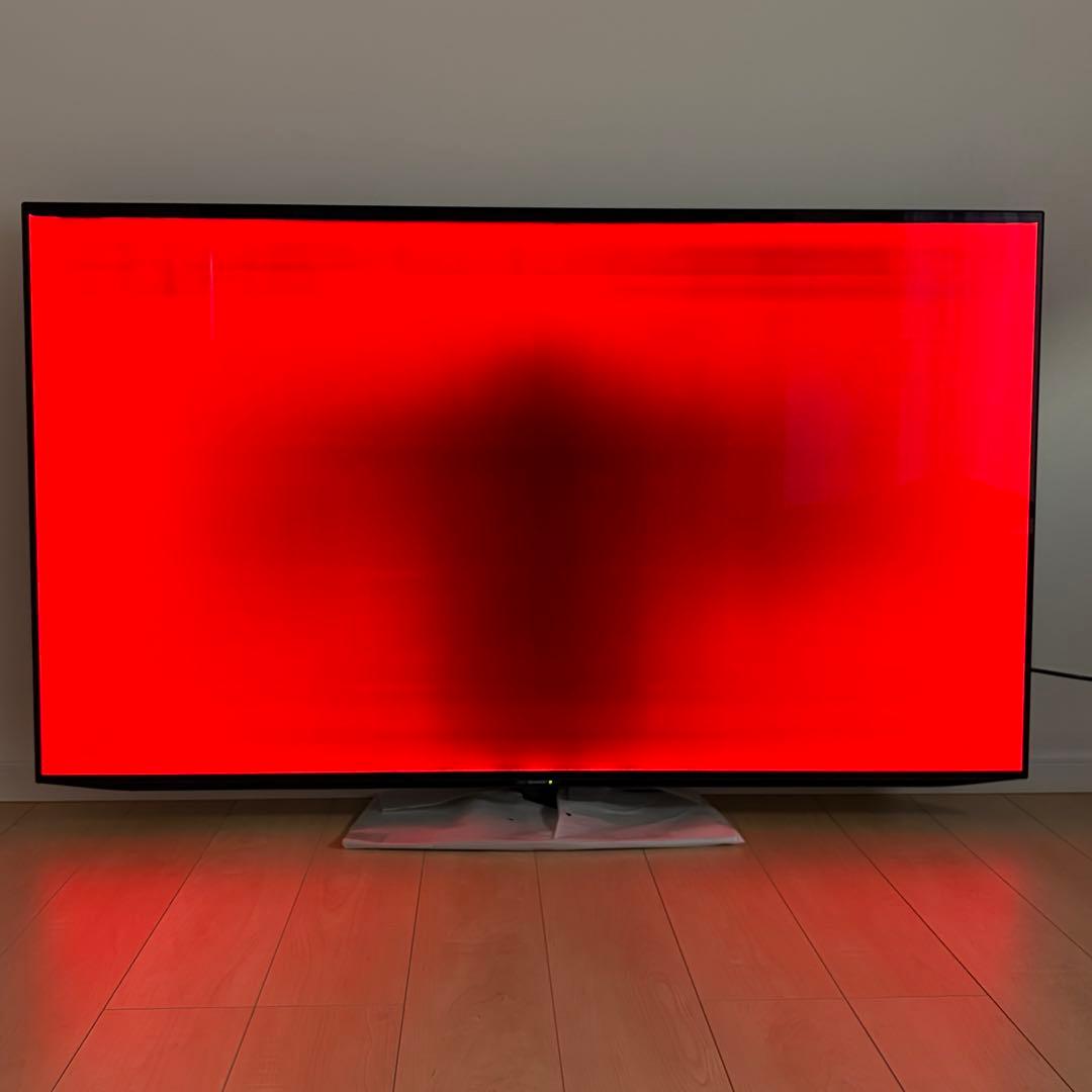 【訳あり】SHARP AQUOS 有機ELテレビ　65インチ　4T-C65CQ1