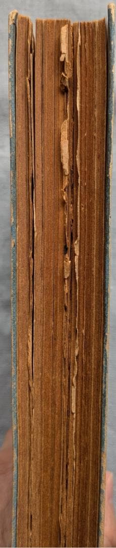 野口晴哉　幻の名著「全生談義」