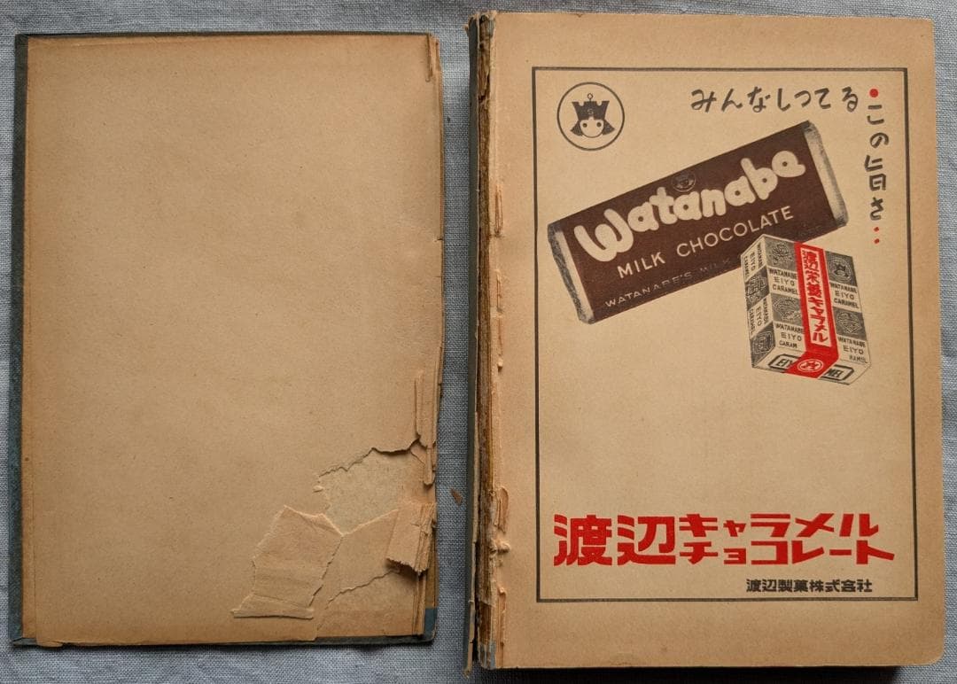 野口晴哉　幻の名著「全生談義」