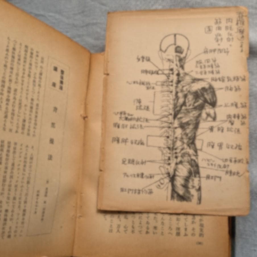 野口晴哉　幻の名著「全生談義」