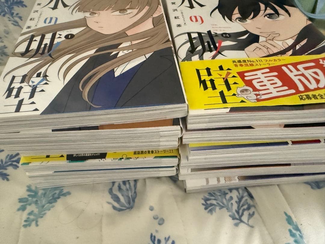 最初より1万値下げ 氷の城壁 13巻まで これ以上値下げなし