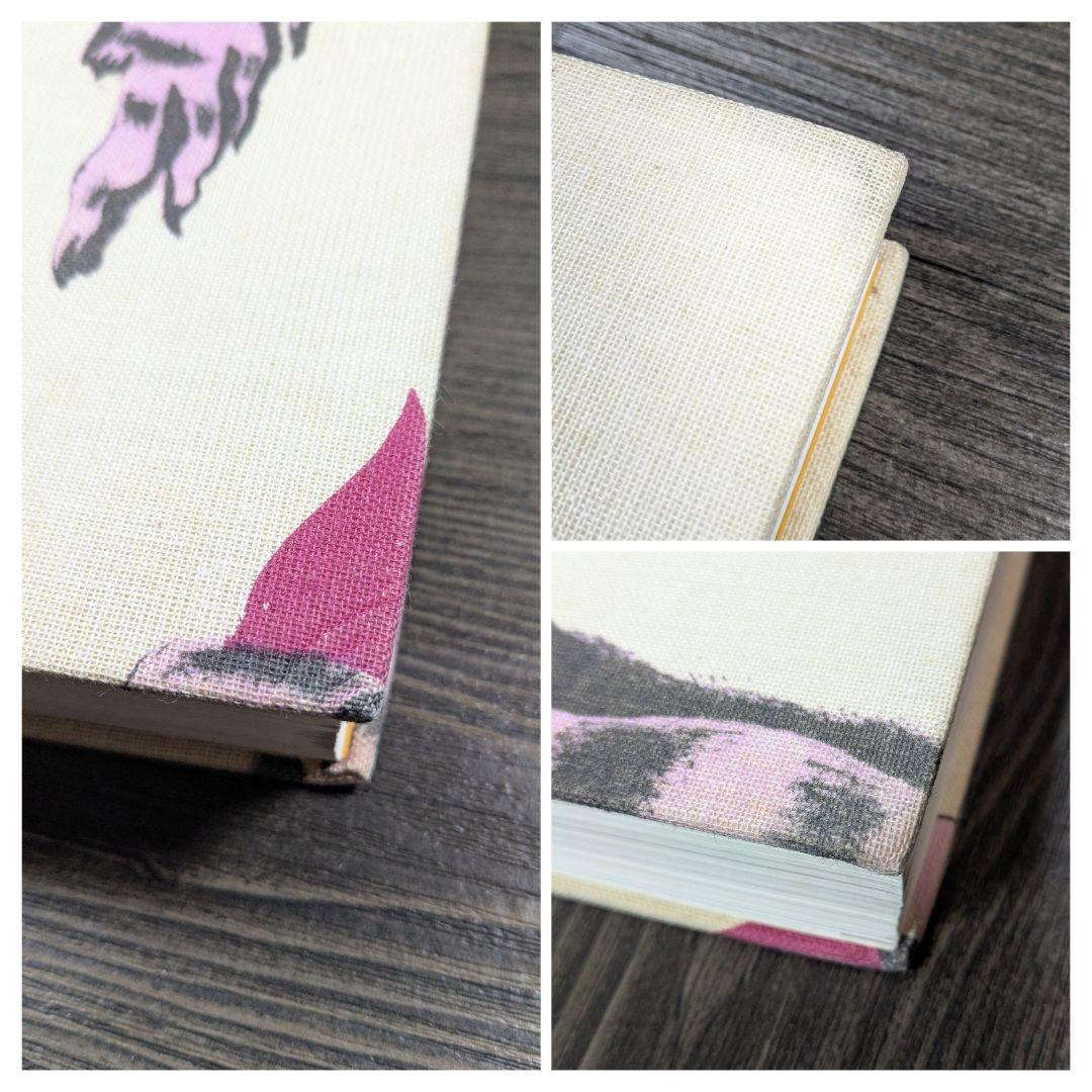 洋書　Salvador Dalí　サルバドール・ダリ