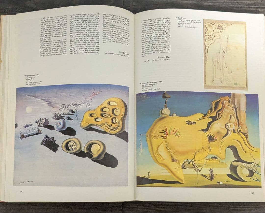 洋書　Salvador Dalí　サルバドール・ダリ