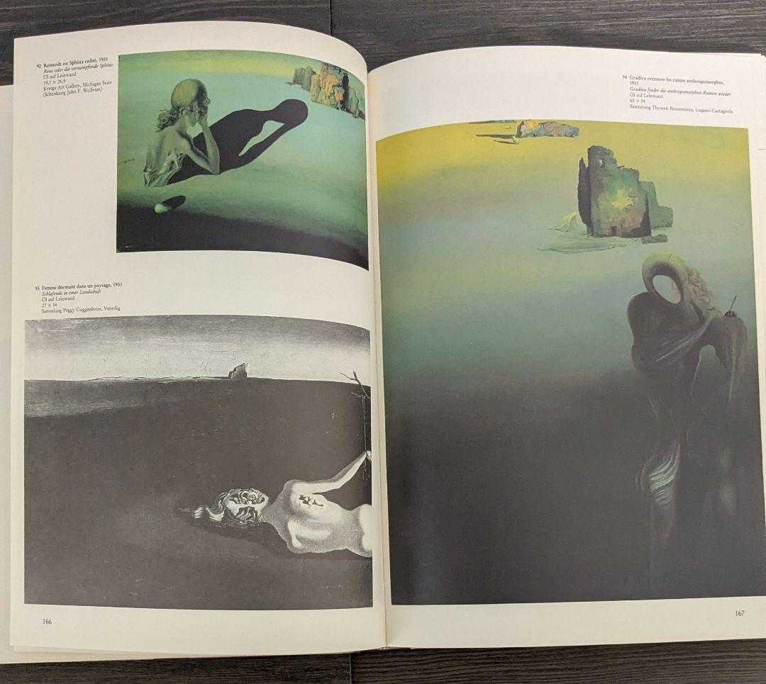 洋書　Salvador Dalí　サルバドール・ダリ