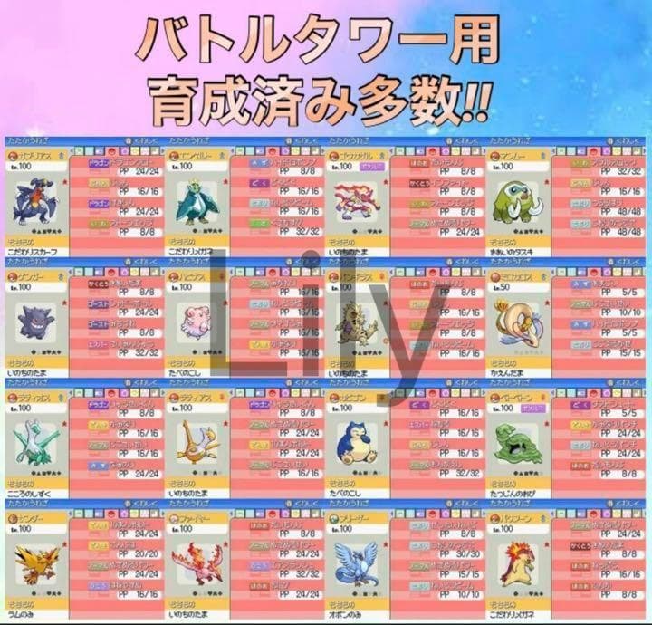 ソウルシルバー　箱　ケース　ポケウォーカー付き