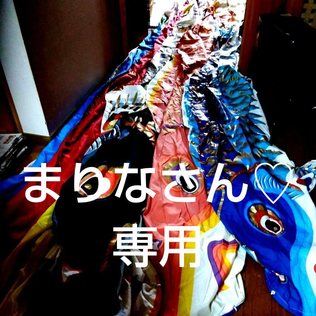 鯉のぼり デザイン 4色【５メートル】✖2セット